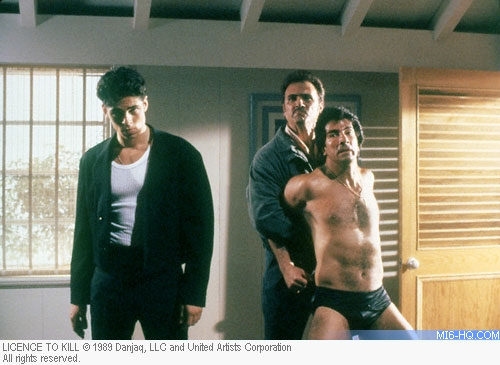 Benicio Del Toro As Dario In Licence To Kill 11x17 Mini Poster.